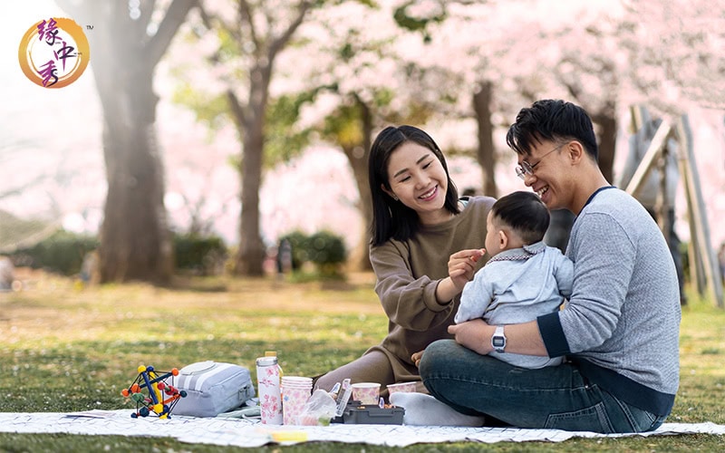 为宝宝规划命运:新手父母的中华命理指南